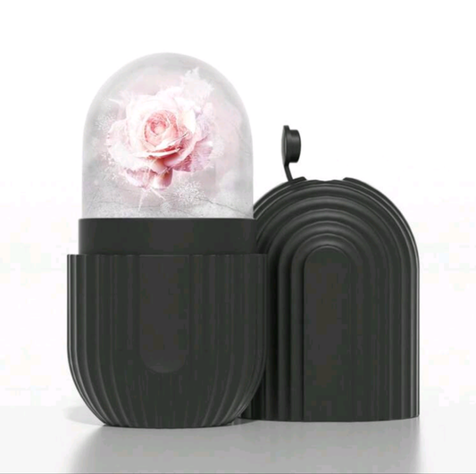 1pc Ice Face Roller